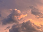 IMG_1359