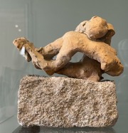 IMG_2446