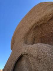 IMG_2604