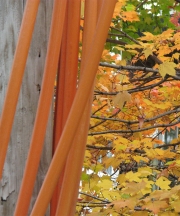 IMG_3533-02