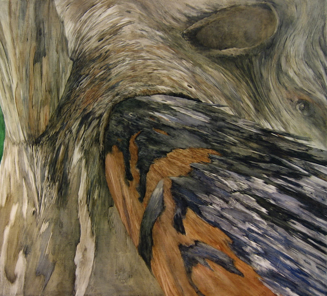 Eucalypt Detail